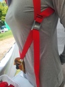 Chest Harness 