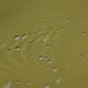 36243-RVX-WashInWR-Lifestyle-03.webp
